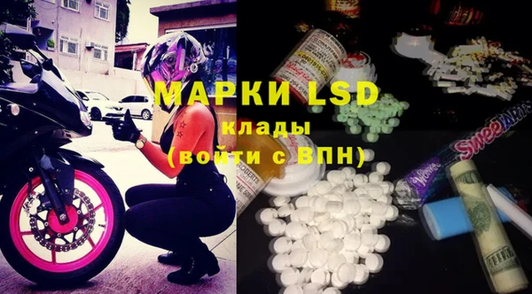 apvp Вязники
