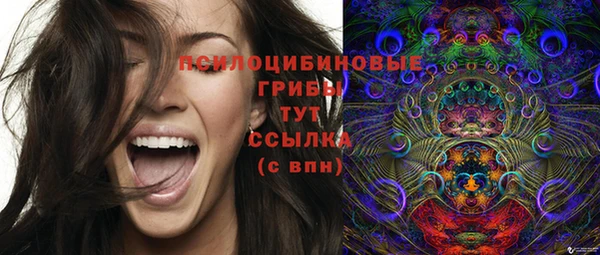 apvp Вязники