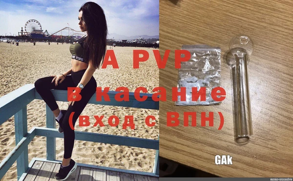 apvp Вязники