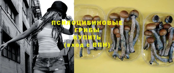 apvp Вязники