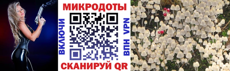 Галлюциногенные грибы MAGIC MUSHROOMS  Любань 