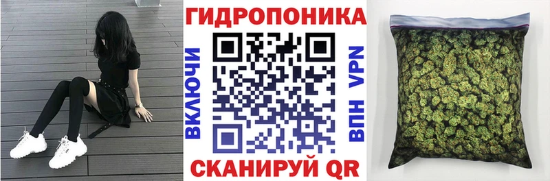 МАРИХУАНА ГИДРОПОН  Любань 